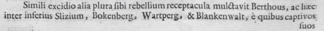 Mit ähnlicher Zerstörungskraft belegte Bertho auch mehrere andere Zufluchtsorte für die Rebellen, darunter Niederschlitz, Bocksberg, Wartenberg und Blankenwald, von wo er als Rächer seine Gefangenen wegführte ...